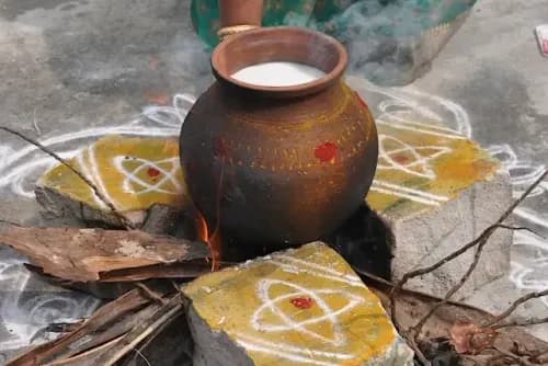 Image of Thai Pongal 2026